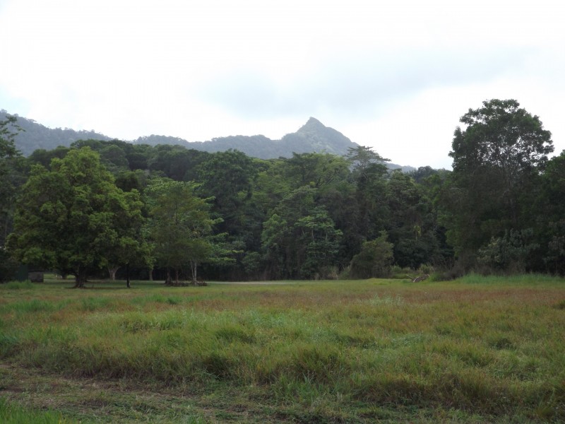 Lot 74 Forest Creek Road, Daintree QLD 4873