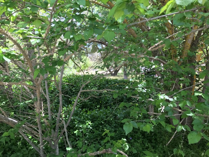 46 Victoria street, Gumeracha SA 5233