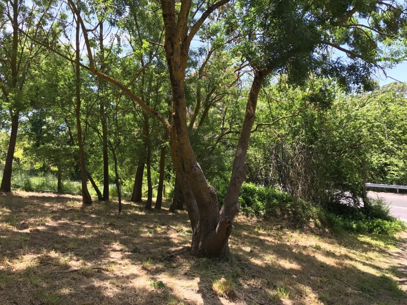 46 Victoria street, Gumeracha SA 5233