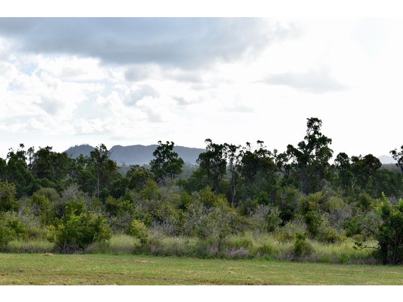 250 Newby Road, Bondoola QLD 4703
