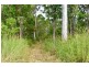 250 Newby Road, Bondoola QLD 4703