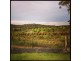 250 Newby Road, Bondoola QLD 4703