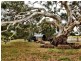 1440 Bannockburn-Shelford Road, Teesdale VIC 3328