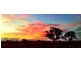 1440 Bannockburn-Shelford Road, Teesdale VIC 3328