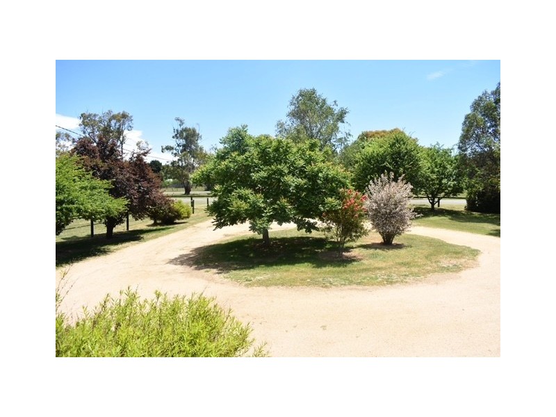 9 Victoria Parade, Delegate NSW 2633