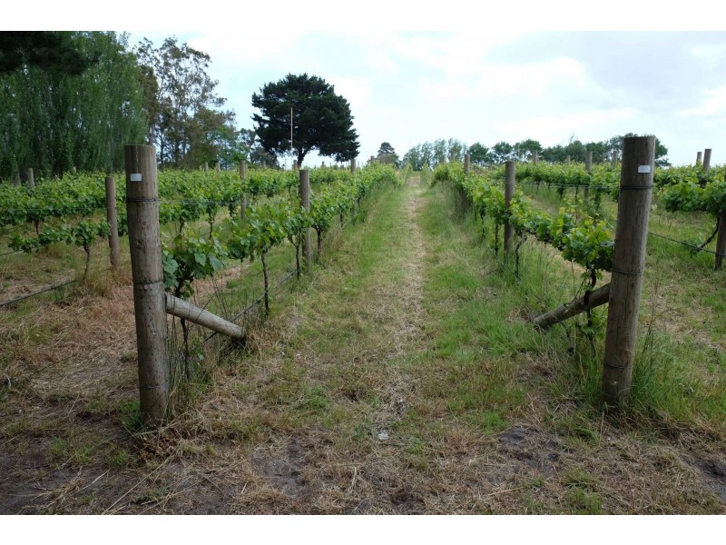 65 Dandenong Hastings Rd, Somerville VIC 3912