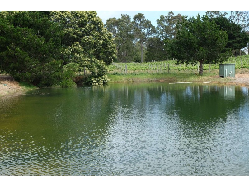 65 Dandenong Hastings Rd, Somerville VIC 3912