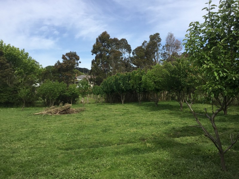49 Bena Road, Korumburra VIC 3950
