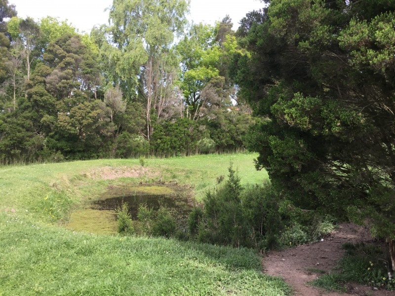 49 Bena Road, Korumburra VIC 3950