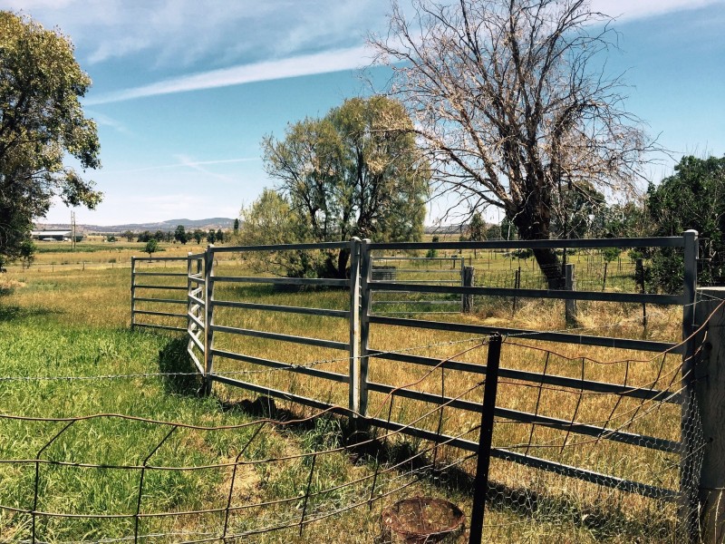 5 Wilson Avenue, Barraba NSW 2347