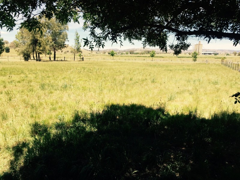 5 Wilson Avenue, Barraba NSW 2347