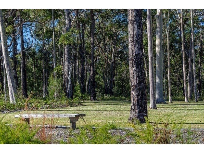 17 Seagrass Ave, Vincentia NSW 2540