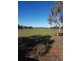 Lot 65 Evans Road, Walkaway WA 6528