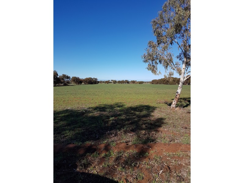 Lot 65 Evans Road, Walkaway WA 6528