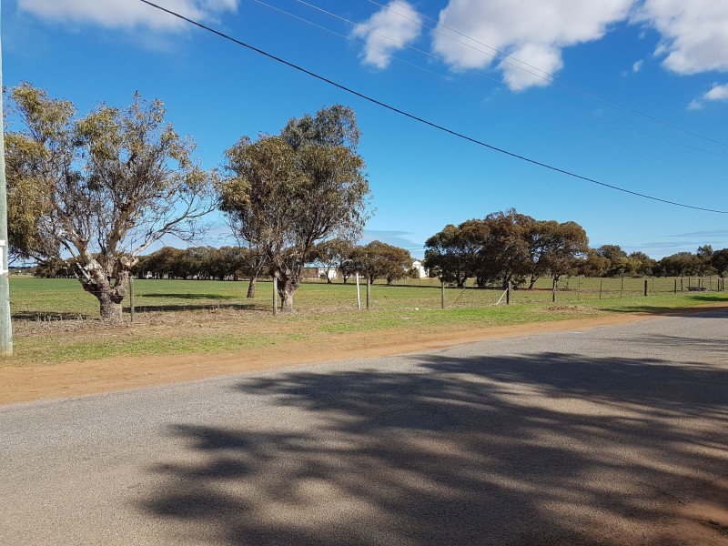 Lot 65 Evans Road, Walkaway WA 6528
