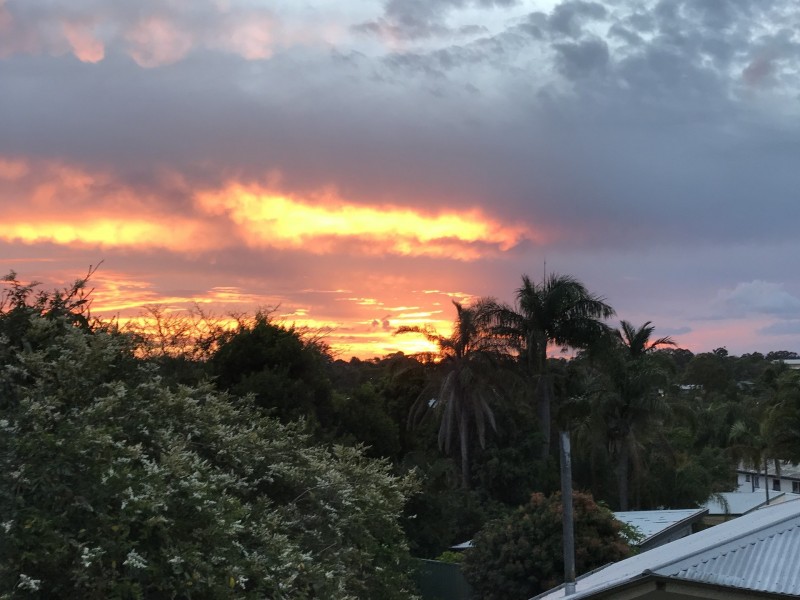 98 Joffre Street, Wynnum QLD 4178