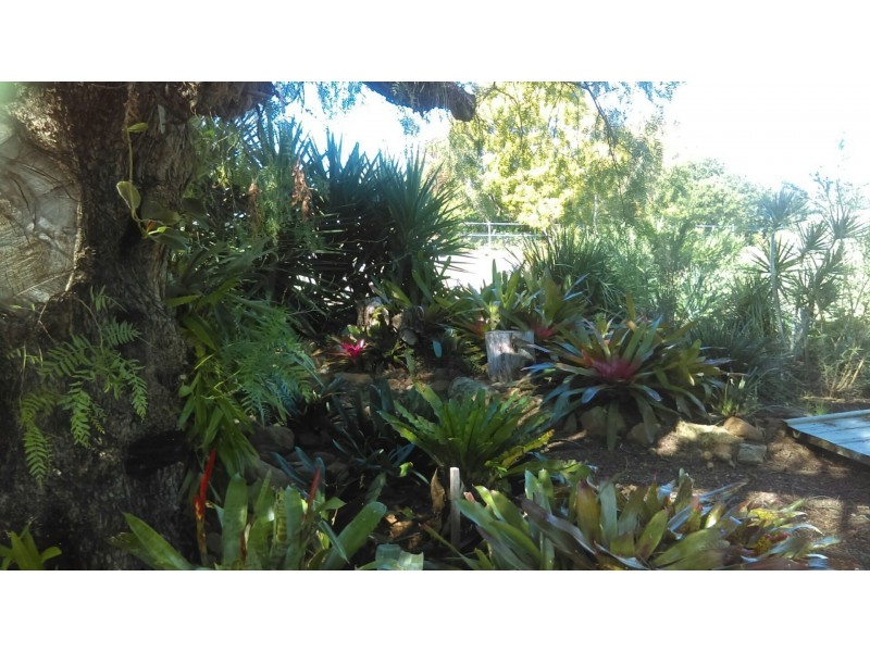 Lot 161 Carl Avenue, Kalbar QLD 4309