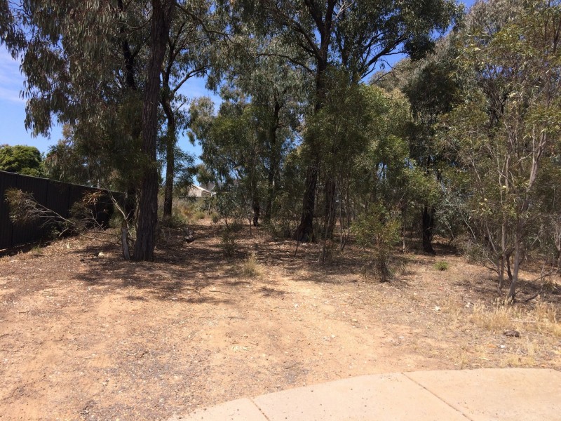 37 BUTTON STREET, Strathdale VIC 3550