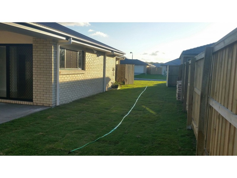 14 Grasstree Place, Ningi QLD 4511