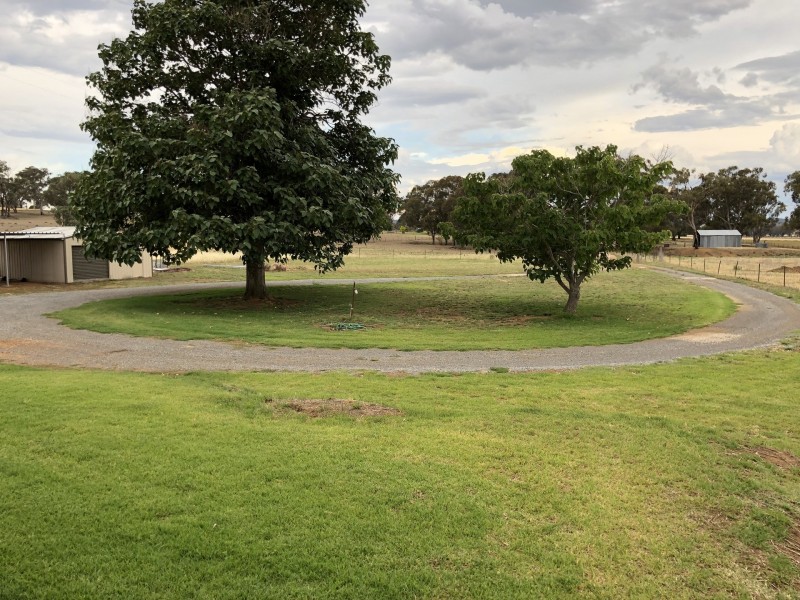 131 Livermores Lane, Manildra NSW 2865