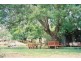 282 Sandhills Road, Forbes NSW 2871