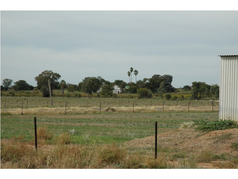 282 Sandhills Road, Forbes NSW 2871