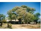282 Sandhills Road, Forbes NSW 2871