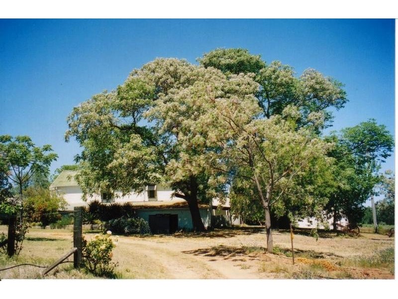 282 Sandhills Road, Forbes NSW 2871