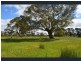 95 Recreation Road, Dunkeld VIC 3294
