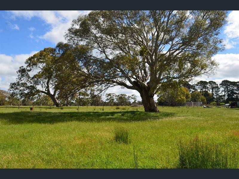 95 Recreation Road, Dunkeld VIC 3294