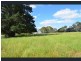95 Recreation Road, Dunkeld VIC 3294