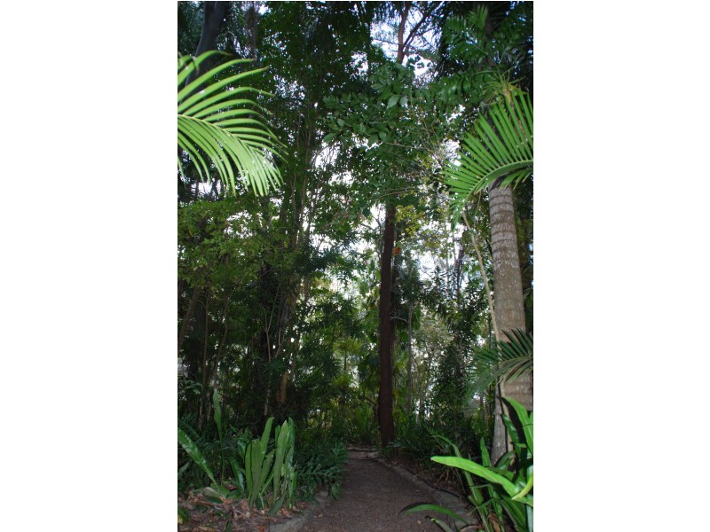 11 Willis Street, Sharon QLD 4670