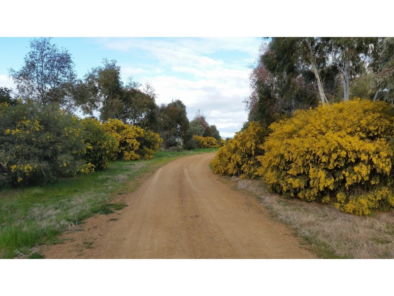 139 Brabins Road, Illabo NSW 2590