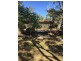 6806 Mulligan Highway, Mount Carbine QLD 4871