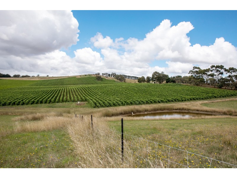 135 Jeffrey Street, Nairne SA 5252