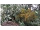 340 One Chain Road, Kardella VIC 3951