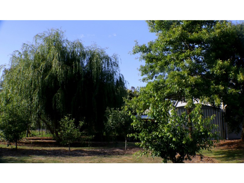 24 Heavitree Road, Denmark WA 6333