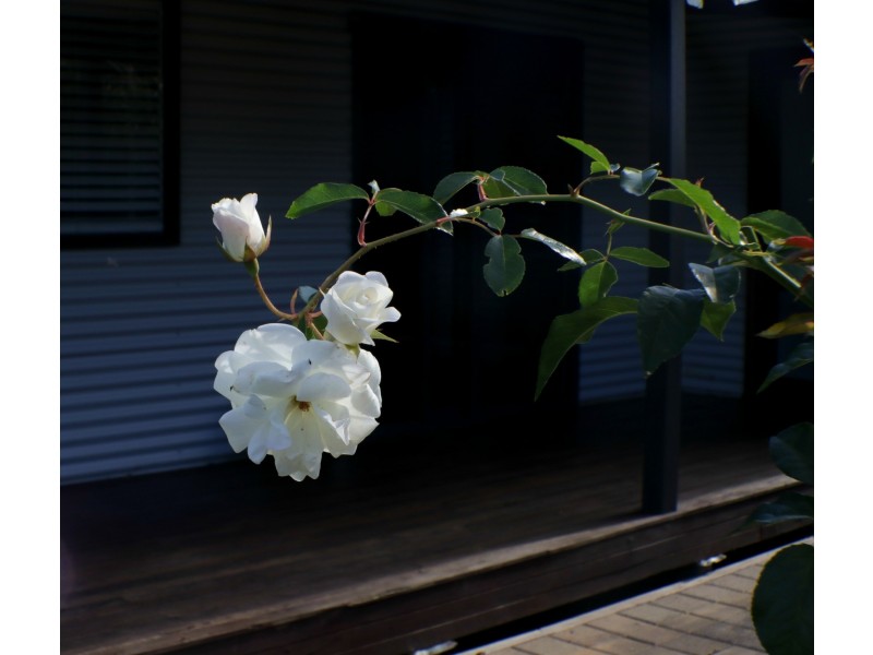 24 Heavitree Road, Denmark WA 6333