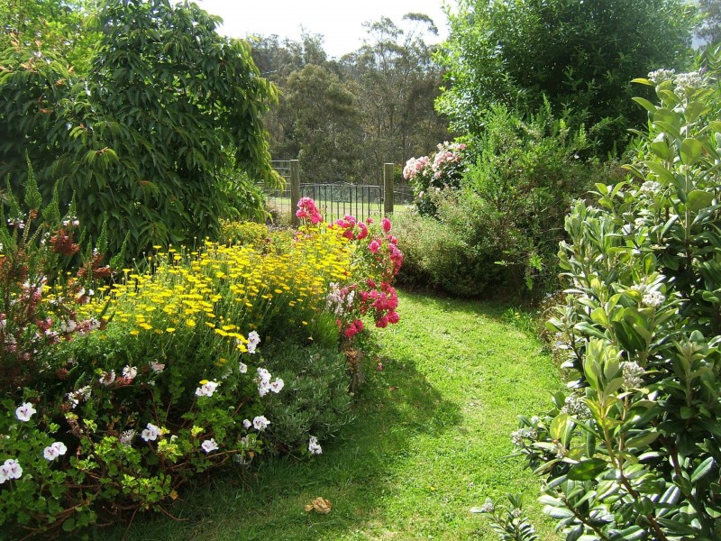 202 North Yarlington Road, Colebrook TAS 7027