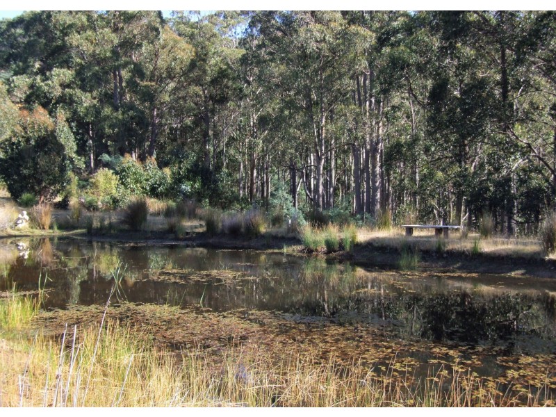 202 North Yarlington Road, Colebrook TAS 7027