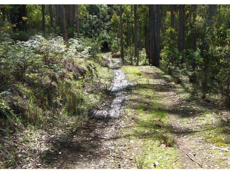 202 North Yarlington Road, Colebrook TAS 7027