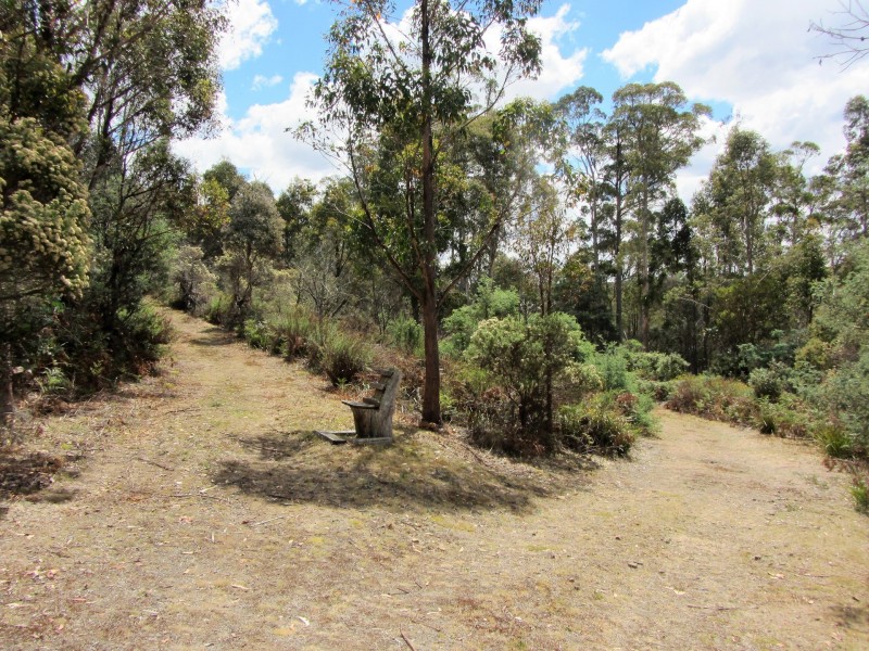 202 North Yarlington Road, Colebrook TAS 7027