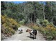 202 North Yarlington Road, Colebrook TAS 7027