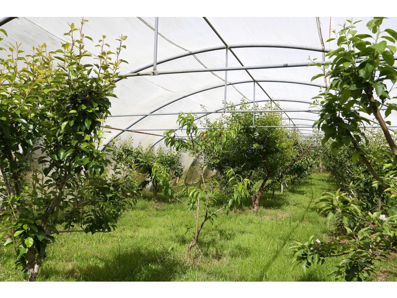 1010 Telegraph Road, Sailors Falls VIC 3461