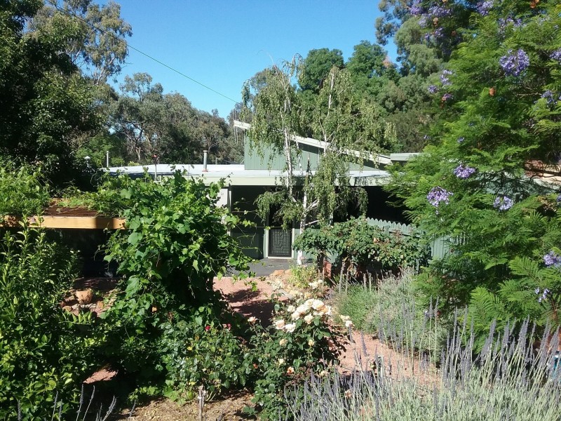 16 Wirth Street, Flora Hill VIC 3550