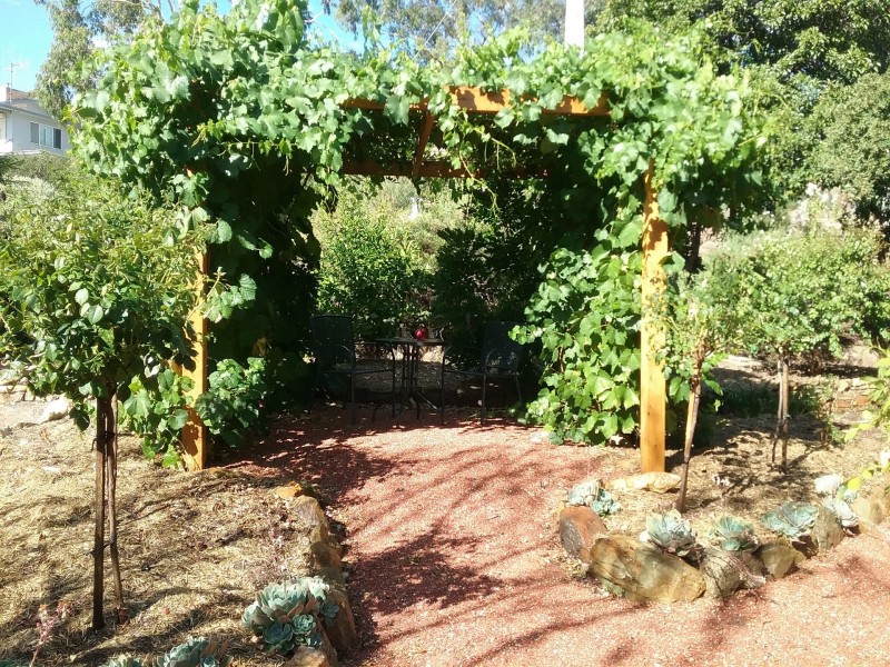 16 Wirth Street, Flora Hill VIC 3550