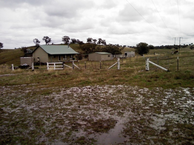 226 (Lot 20) Tarrawingee Rd, Mumbil NSW 2820