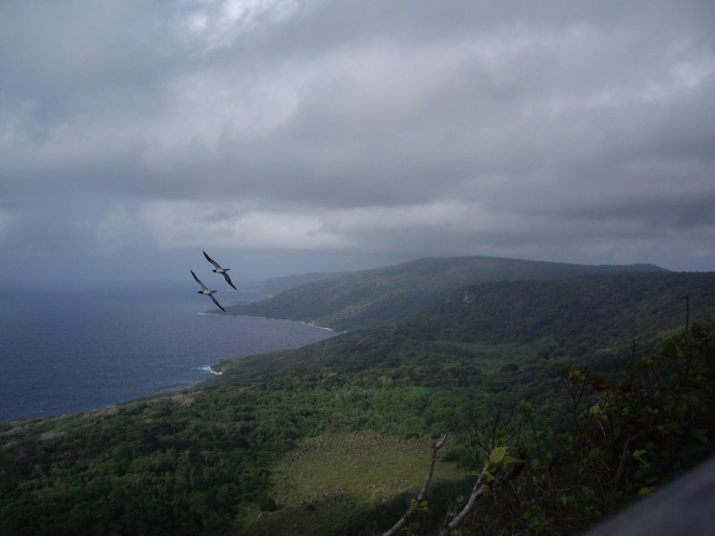 71 Gaze Road, Christmas Island WA 6798