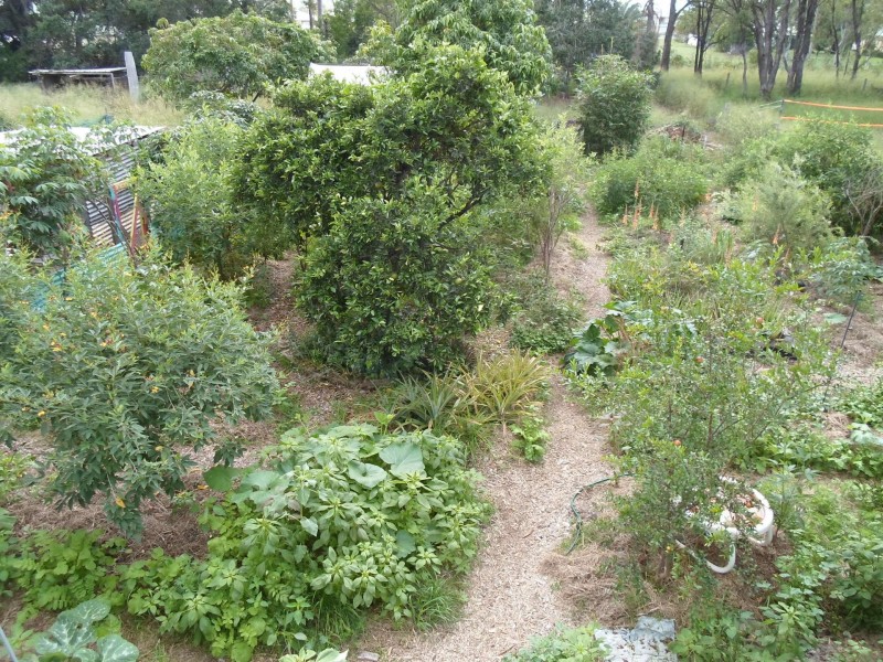 56 Queen Street, Gayndah QLD 4625