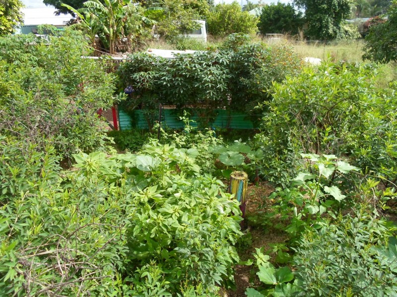 56 Queen Street, Gayndah QLD 4625